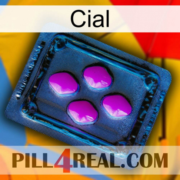 Cial 04